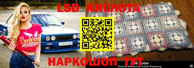 индика Нальчик