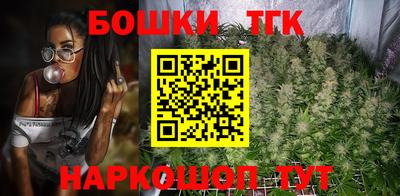 индика Нальчик
