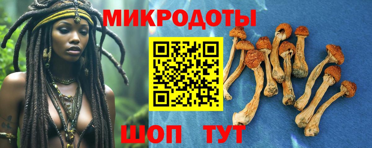 Галлюциногенные грибы мицелий Усть-Джегута